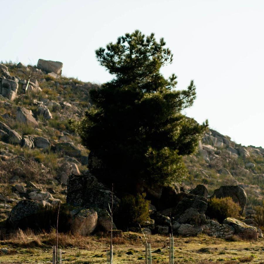 Quinta Do Chaozinho Villa Alijo Luaran gambar