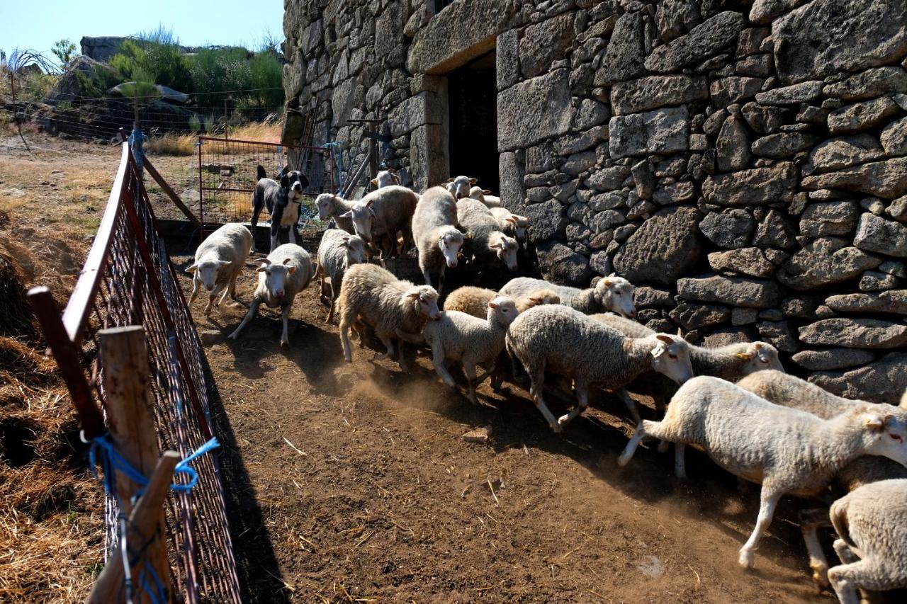 Quinta Do Chaozinho Villa Alijo Luaran gambar