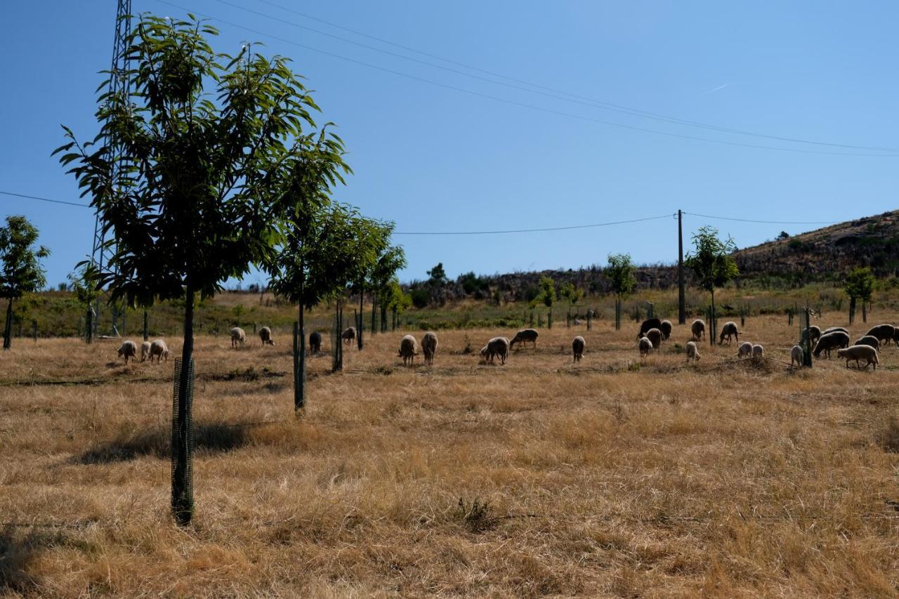 Quinta Do Chaozinho Villa Alijo Luaran gambar