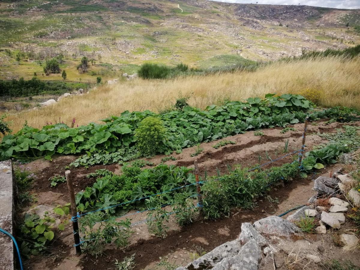 Quinta Do Chaozinho Villa Alijo Luaran gambar